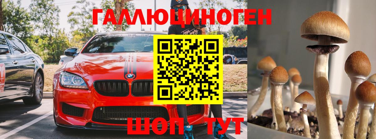 Псилоцибиновые грибы мухоморы  Псилоцибиновые грибы Psilocybe  Усинск  Вход с VPN 